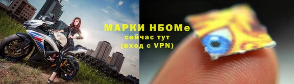 гашик Беломорск