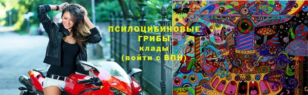 гашик Беломорск