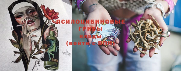 гашик Беломорск