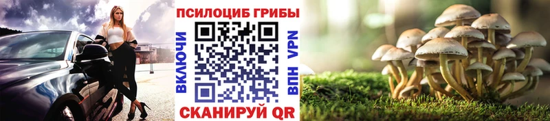 закладка  Рудня  Псилоцибиновые грибы мухоморы 